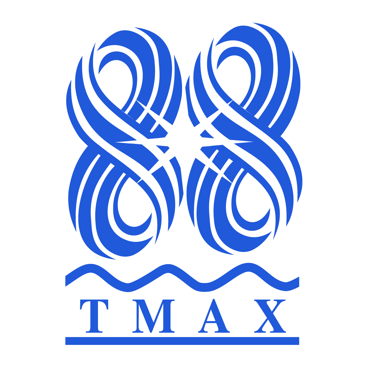 TMAX Logo